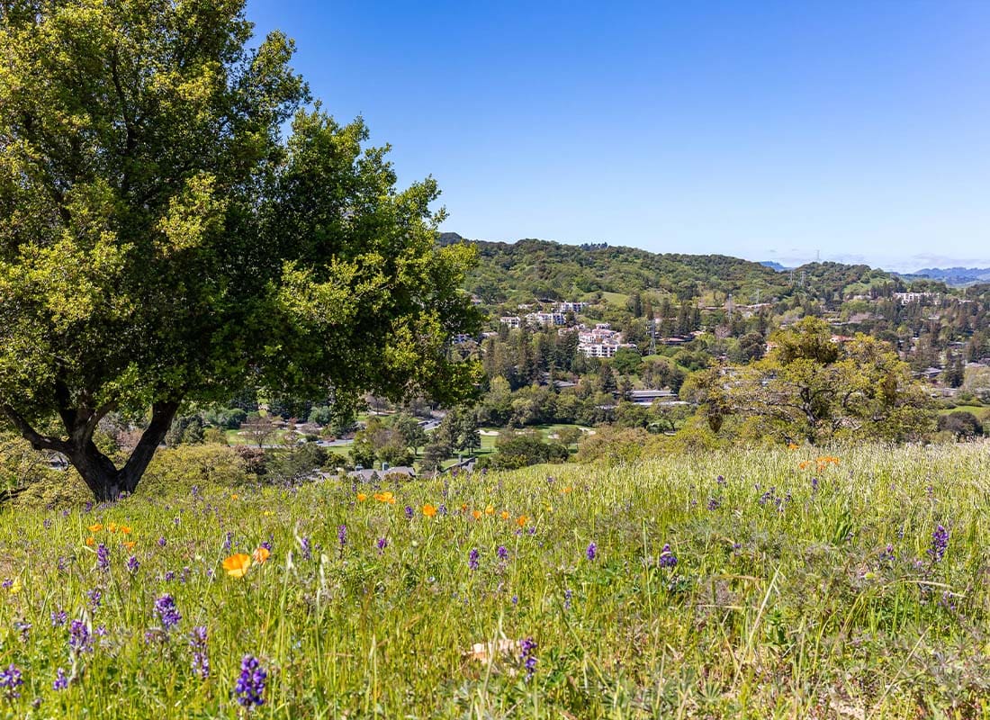 Walnut Creek, CA - Beautiful Landscape Photos in the Spring in California